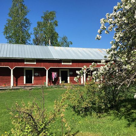 Ollilan Tupa Joensuun Laehellae Bed & Breakfast Ylamylly Exterior photo