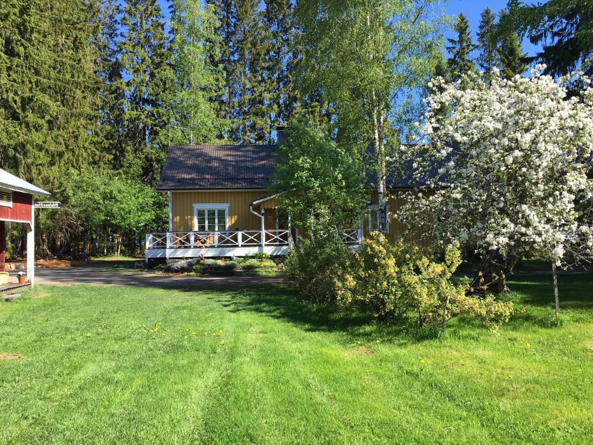Ollilan Tupa Joensuun Laehellae Bed & Breakfast Ylamylly Exterior photo